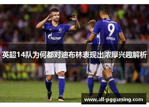 英超14队为何都对迪布林表现出浓厚兴趣解析